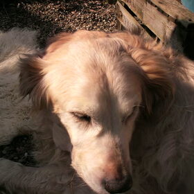 Moppie xxx