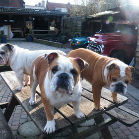 m,n 3 kanjers op de picknick tafel ! t valt niet mee een mooie…