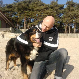 Hondenfoto van sienna,diva,lady en chica