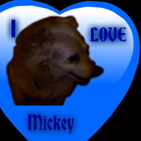 I love Mickey