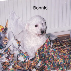 Bonnie tijdens pakjes avond in het pakjes papier. Bonnie vond…
