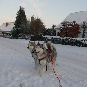 Hier ons mama en papa in de sneeuw