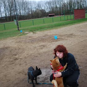 zo blij dat baasje terug was! (en pebbles zo moe van de cross)