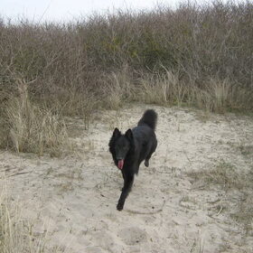 10maanden oud