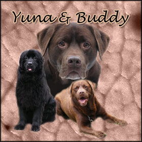 Collage van Yuna en Buddy (with thanks to judith!)