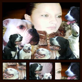 Hondenfoto van Melissa---Rocco&Lady