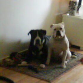 Hondenfoto van Melissa---Rocco&Lady