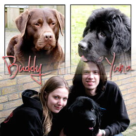 Buddy, Yuna, Frank en ik (made by Noa)!