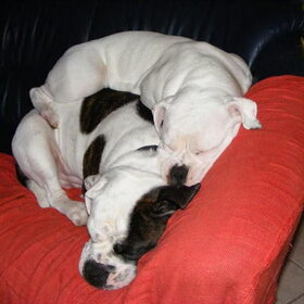 lady samen met haar vader
