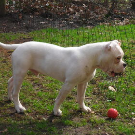 No way letting the ball go