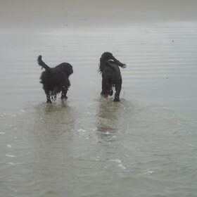 Eerste keer op het strand