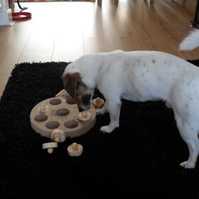 Snuffel snuffel..