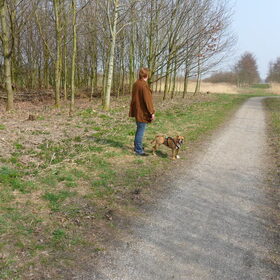 Mn mama niet te houden met Zazou. Ze hebben heerlijk gewandeld…