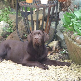 in de tuin,even rust