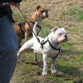 Wat is daar ?? :P