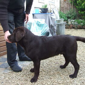 oefenen met 'STA'....