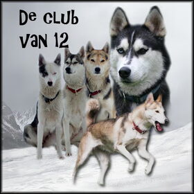 collage gemaakt door Judith! super thnx