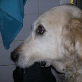 Nog een x, moppie xxx
