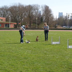 Even lekker liggen.