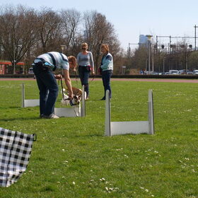 Eerste paar sprongen.