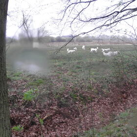 heerlijk rennen in de regen