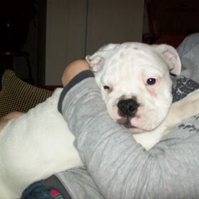 bij tiffaney op schoot