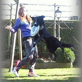 Hondenfoto van -Iris & Tommy-