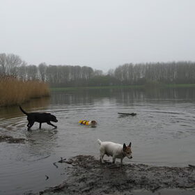 en zwemmen maar