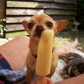 Stapelgek op perenijsjes! Zomer 2006