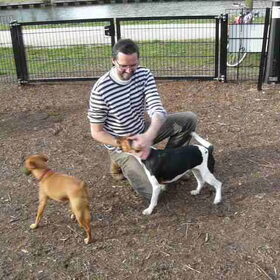 Losloopwei 030411, Rocky met big boss en zijn maatje Pruts