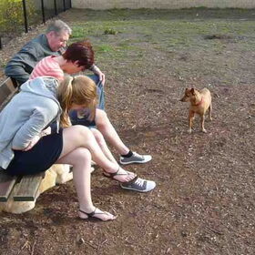Losloopwei 030411, Rocky aan het kijken naar Pruts en Lana onder…