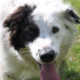 Ben ik niet een echte CASANOVA of eerder het lieve spookje CASPER