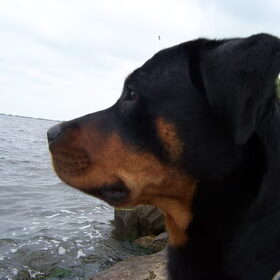 Vakantie Friesland 2010