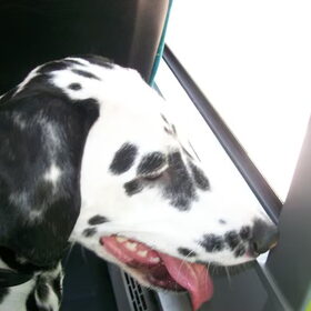 met de bus