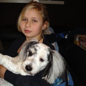 Hondenfoto van Zoem