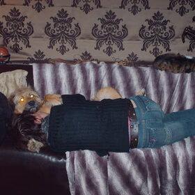 Hondenfoto van liesbeth,Turbo,Luna, Levi en Faith