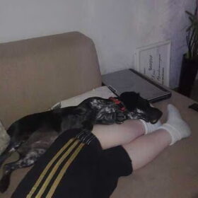 Lola, na haar eerste dagje bij ons s'avonds helemaal uitgeput.