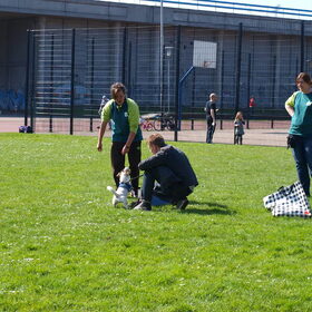 Flyballen.