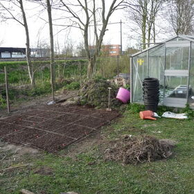 Hondenfoto van Eef en Tjibbe