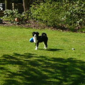 woody in de tuin