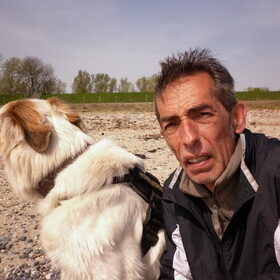 Hondenfoto van Sam,Saltarin,Muis,Zara,Terra+en Paco 