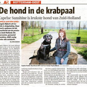 Hondenfoto van Angela & Shine
