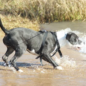 mila met het water aan het spelen :P