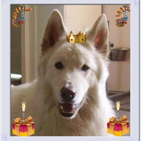 Eros 3 jaar! (13-04-2011)