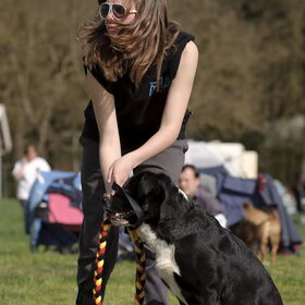 Hondenfoto van De Mecheltjes clan