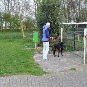 De geit is echt niet eng! (Een week eerder wilde Tjibbe er nog…