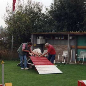 In het begin vond Jazzy het best wel eng.
