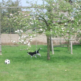 Aan het spelen in mijn vader's tuin