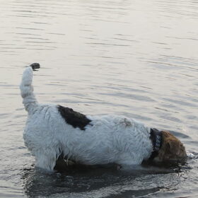 Wat zit daar onder water?