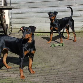 Samen lekker aan het spelen